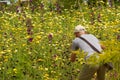 Man Photographing a Colourful Flower Bed Full of Wild Flowers.