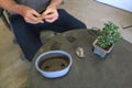 A man bending a wire for repotting bonsai