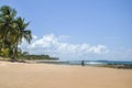 Man on a bicycle, Beach of Taipu de Fora (Brazil)