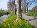 man on bicycle on country road near Woerden in the green haert of holland