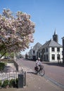 Man on bicycle passes flowering spring tree in dutch village of loenen aan de vecht in spring