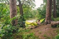 Man on bicycle trip at camping by lake is relaxing in green hammock while listening to music. Active recreation theme in Royalty Free Stock Photo