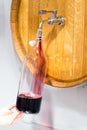 A man in a bid winery pouring wine from barrel in winebottle. One liter of wine. Vertical. Hand with winebottle