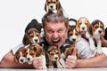 The man and big group of a beagle puppies Royalty Free Stock Photo