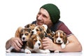 The man and big group of a beagle puppies Royalty Free Stock Photo