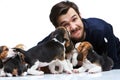 The man and big group of a beagle puppies Royalty Free Stock Photo