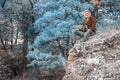 Man with binoculars resting, sitting on a rock Royalty Free Stock Photo