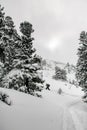 Man in a black ski suit with trekking poles walking through deep powdery snow Royalty Free Stock Photo