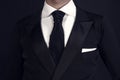 Man in a black tuxedo suit and white shirt Royalty Free Stock Photo