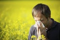 Man blowing his nose in canola field Royalty Free Stock Photo