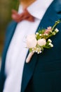 A man in a blue jacket, white shirt, burgundy bow tie and with a boutonniere of small roses and white flowers Royalty Free Stock Photo