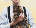 Man in blue shirt, black suspender holding cute brown striped tabby cat in front of yellow background