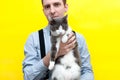 Man in blue shirt with long sleeves holding adorable grey and white cat with outstretched paws