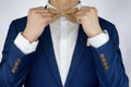 Man blue suit bowtie, brooch, pocket square Royalty Free Stock Photo