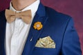 Man in blue suit bowtie, pocket square Royalty Free Stock Photo