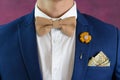 Man in blue suit bowtie, pocket square Royalty Free Stock Photo