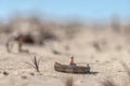 Man in a boat fishing on a dried-up lake Royalty Free Stock Photo