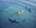 A man in a boat, kayak. was trapped in the middle of the ocean surrounded by sharks.