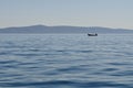 Man in boat on the sea Royalty Free Stock Photo
