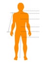 Man body silhouette with pointers and indicators for medical, sport and fashion infographics. Vector isolated template Royalty Free Stock Photo