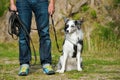 Man with a border collie dog