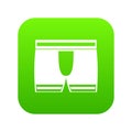 Man boxer briefs icon digital green