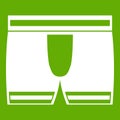 Man boxer briefs icon green
