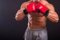 The man in boxing gloves Royalty Free Stock Photo