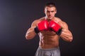 The man in boxing gloves Royalty Free Stock Photo