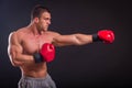 The man in boxing gloves Royalty Free Stock Photo