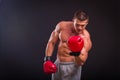 The man in boxing gloves Royalty Free Stock Photo