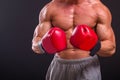 The man in boxing gloves Royalty Free Stock Photo