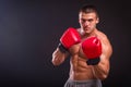 The man in boxing gloves Royalty Free Stock Photo