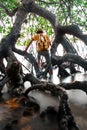 A man Break through old mangrove forest with backpack Travel Lifestyle wanderlust adventure concept summer vacations outdoor alone Royalty Free Stock Photo