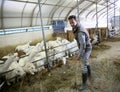 Man breeder with goats in barn working Royalty Free Stock Photo