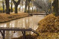 Man in bright clothes walking on a bridge with stroller. A quiet river and banks covered with fallen yellow leaves in a park.