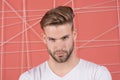 Man with bristle on strict concentrated face, pink background. Guy bearded and attractive with hairstyle. Masculinity Royalty Free Stock Photo