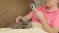 A man with a British cat sits on the couch, uses a mobile phone and strokes a cat
