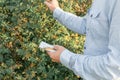 A man by a bush with berries in the hands of a notepad and a fountain pen Royalty Free Stock Photo