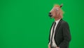 Man in business suit with horse head mask on green studio background. Businessman. Concept of hard office work. Half Royalty Free Stock Photo