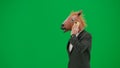 Man in business suit with horse head mask on green studio background. Businessman walking and talking on smartphone Royalty Free Stock Photo