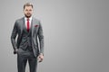 Man businessman in a gray suit with a red tie, waist-length portrait on a gray background Royalty Free Stock Photo