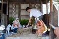 Man busy preparing Christmas nativity scene represented with statuettes of Mary, Joseph and baby Jesus