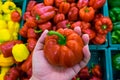 Man buying bell peppers Royalty Free Stock Photo