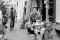 Man buying CHristmas flowers at florist Royalty Free Stock Photo