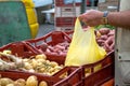 man buying new potatoes from local market