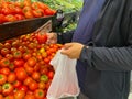 The man buying tomato at food store or supermarket