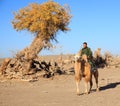 man on camel in desert autumn