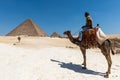 Man on a camel near to the Giza Pyramids Royalty Free Stock Photo