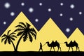 Man on the camel the pyramids. Royalty Free Stock Photo